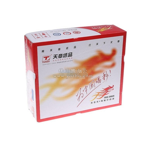 天章龍電腦打印紙 80列雙層241-2（1000頁）