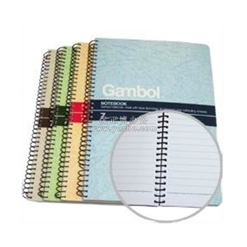 渡邊 S6507 線圈本 活頁本(螺旋裝訂本)B5/50頁