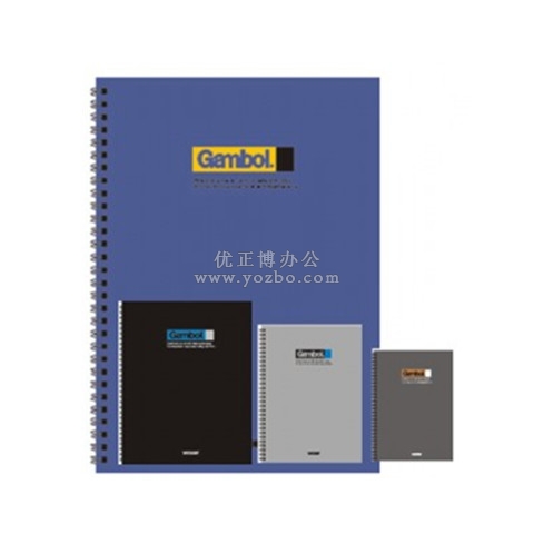 渡邊 DS4000 線圈本 活頁本(雙螺旋PP面)A4/80頁