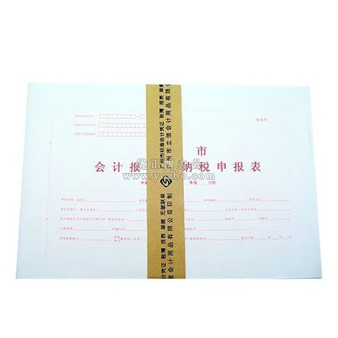 立信 廣州市會計報表及納稅申報表封面(A3)*30張