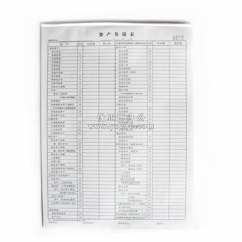 立信 資產負債表 8K/50頁