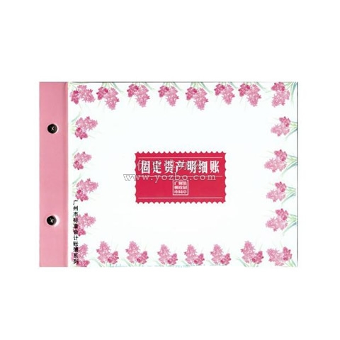 立信 固定資產(chǎn)明細帳 16K 100頁