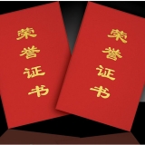 榮譽證書 99直式 絨面壓金