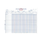 立信 固定資產(chǎn)明細帳 16K 100頁